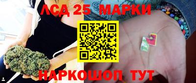 сатива Будённовск