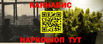 сатива Будённовск